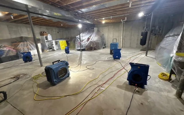 Basement Flood Cleanup in Ansonborough, South Carolina