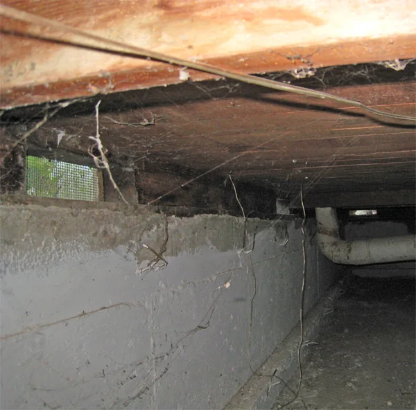 Crawlspace Water Removal in Avondale, South Carolina