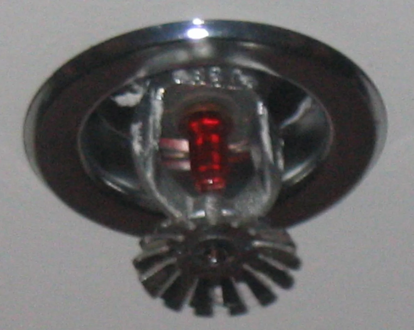 Fire Sprinkler Discharge Cleanup in Daniel Island, South Carolina