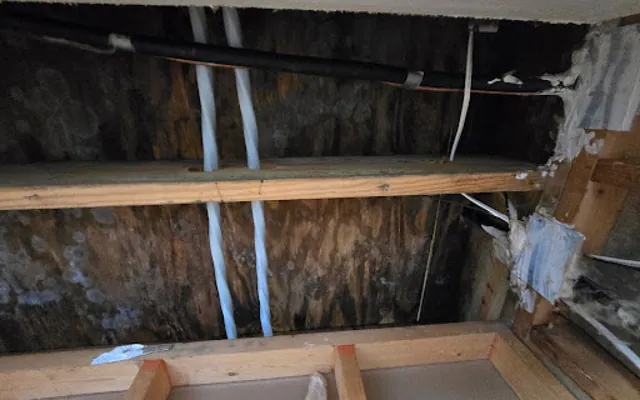 Attic Water Damage in Daniel Island, South Carolina