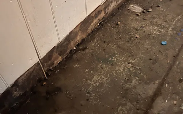 Drain Backup Cleanup in Charleston Peninsula, South Carolina