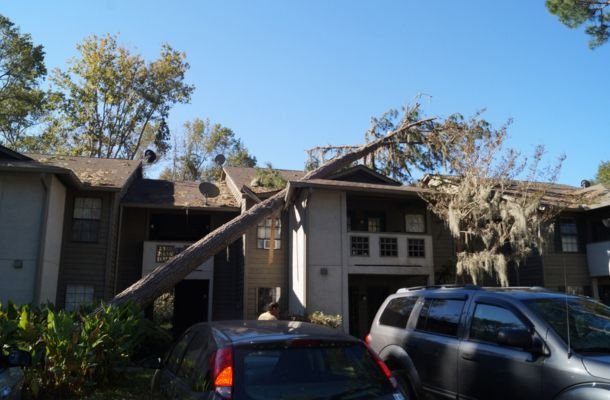 Storm Damage Restoration Charleston, South Carolina
